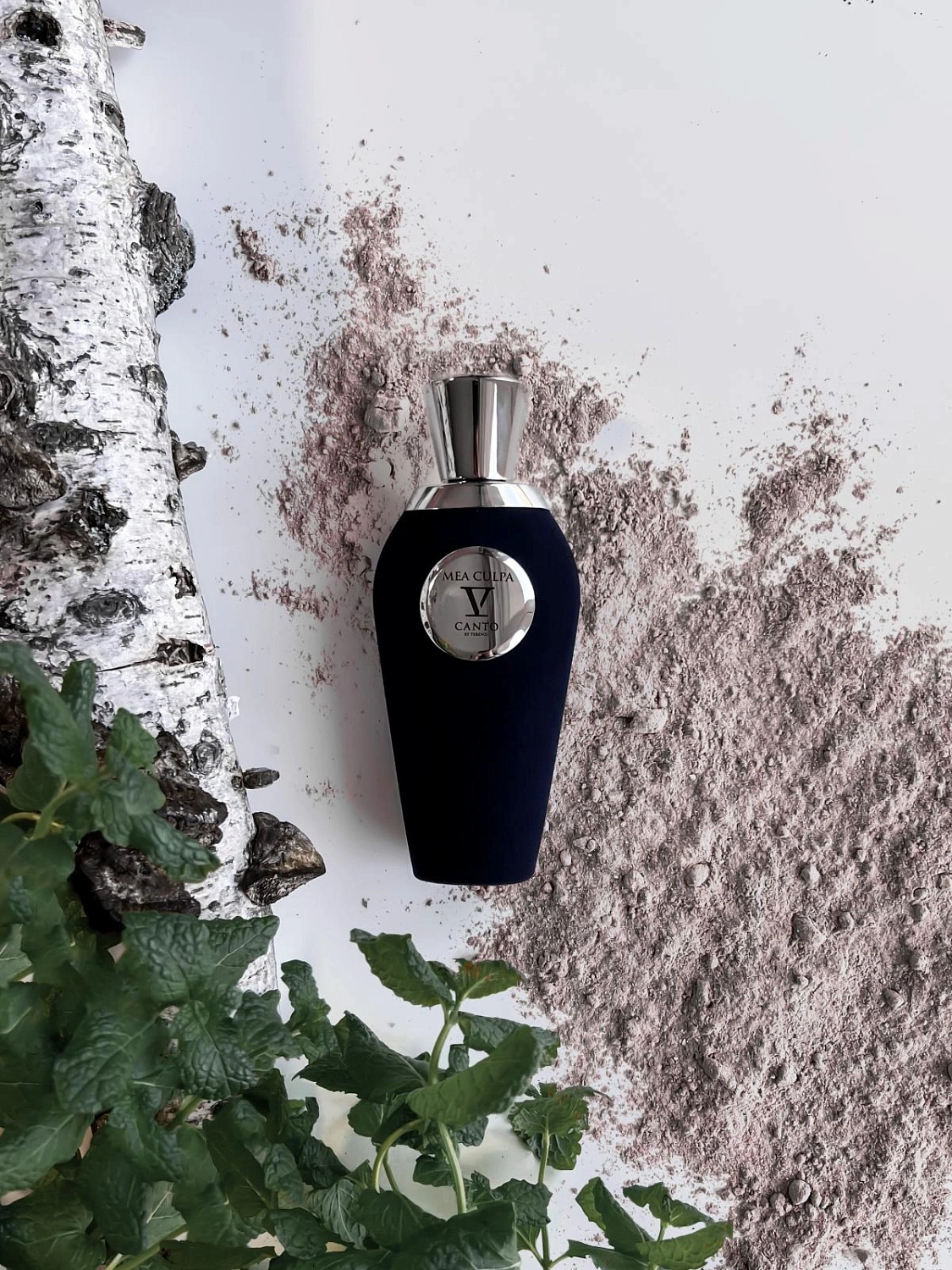 V Canto Mea Culpa