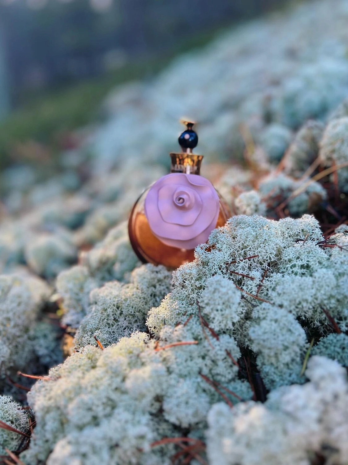 Valentino Valentina Assoluto