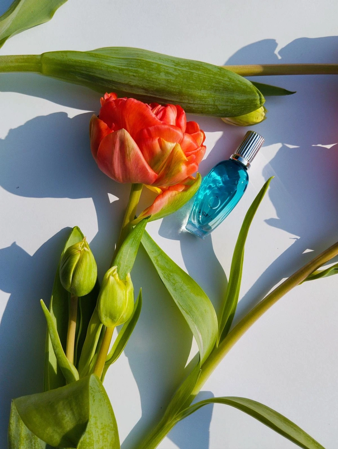 Escada Born in Paradise