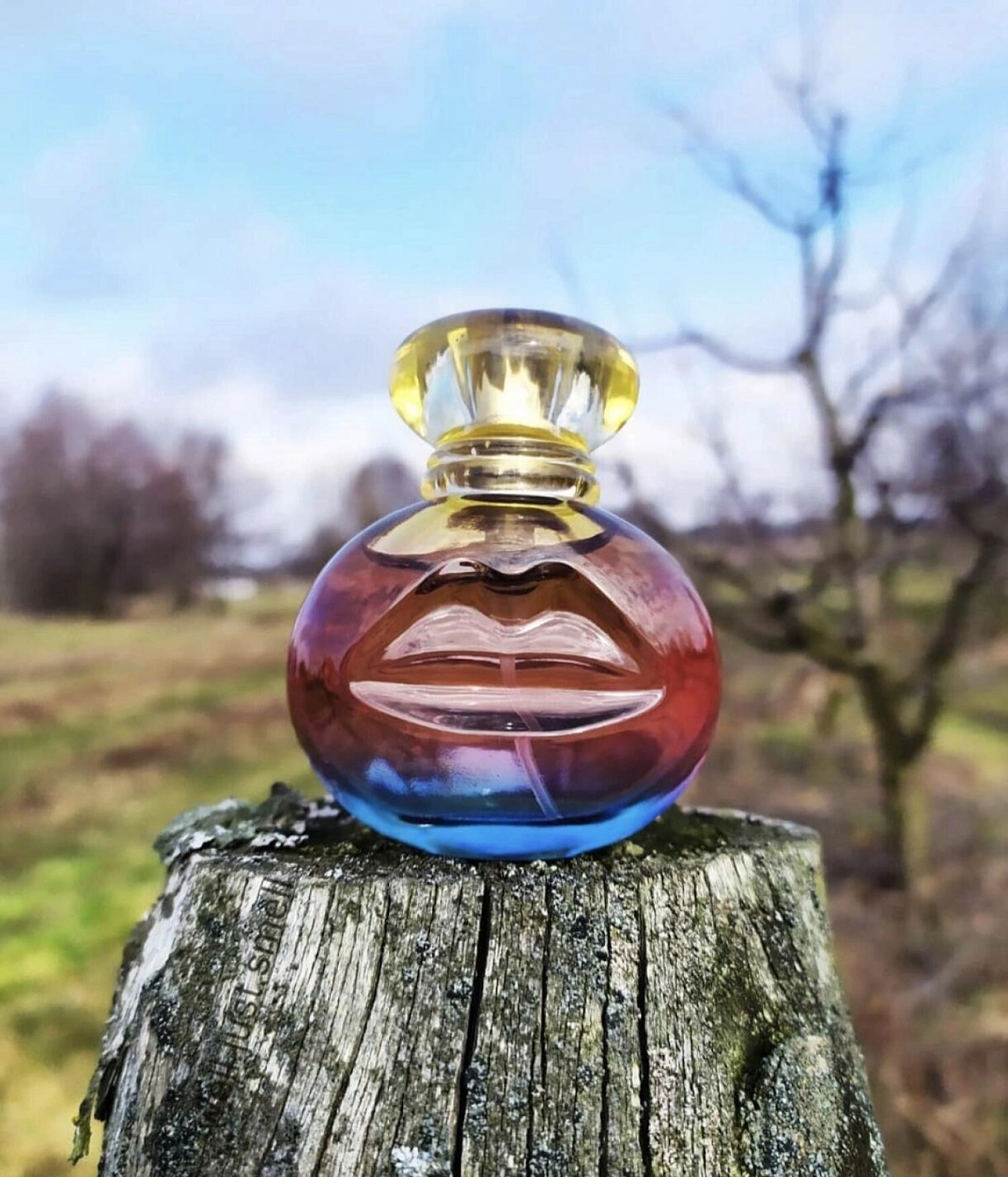 Salvador Dalí Sunrise in Cadaquès