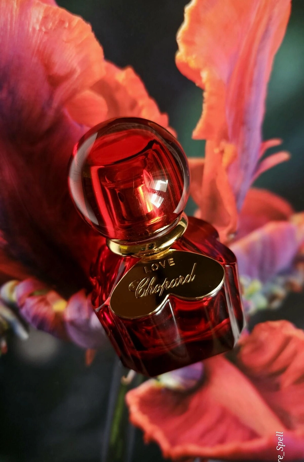 Love Chopard Love Chopard