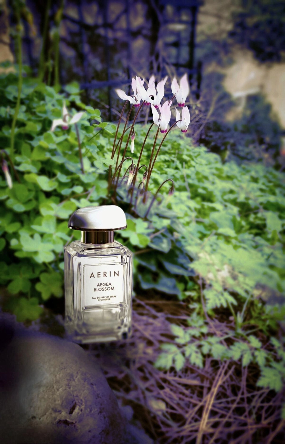 AERIN Aegea Blossom AERIN Aegea Blossom