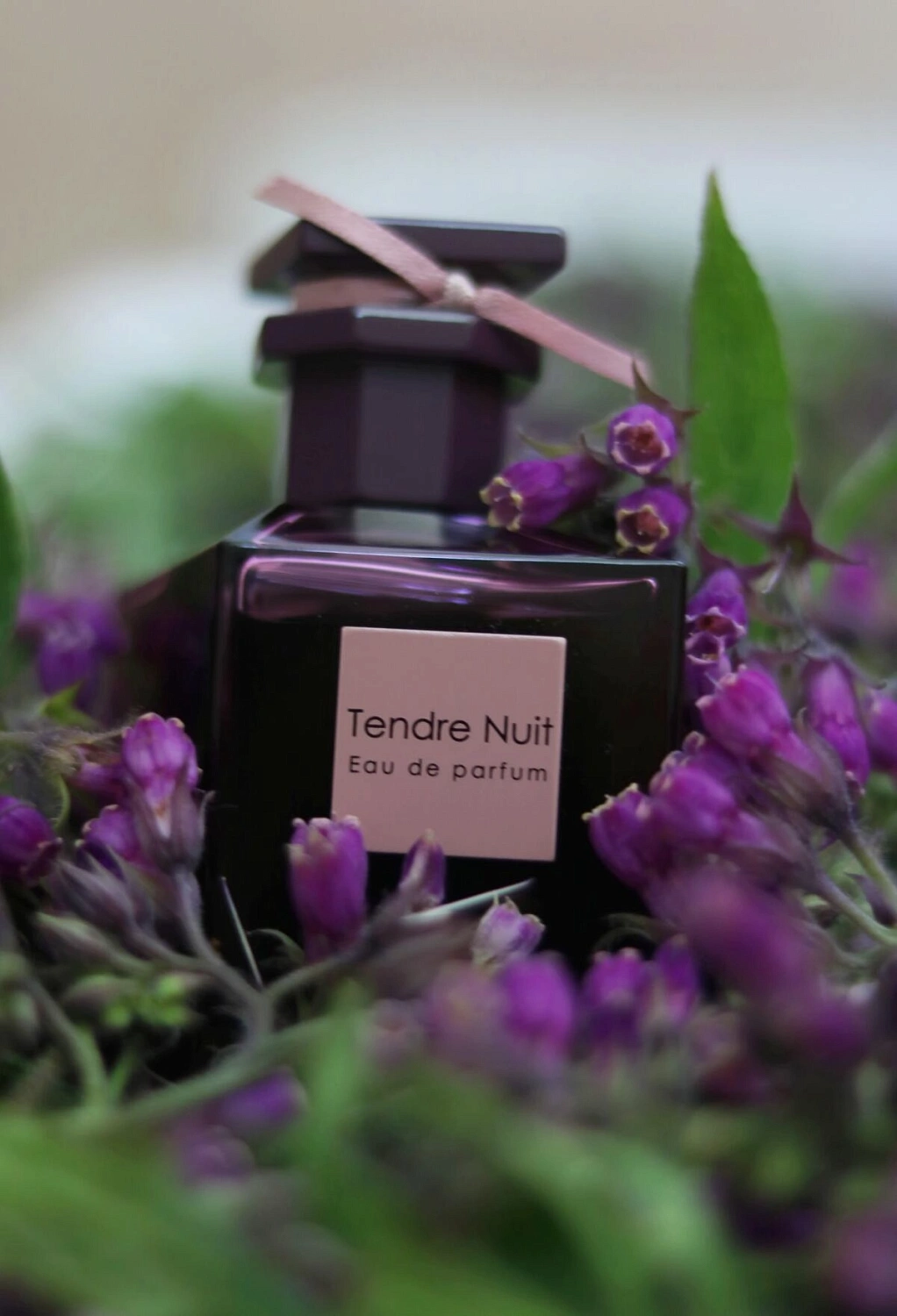 Panouge Isabey Tendre Nuit