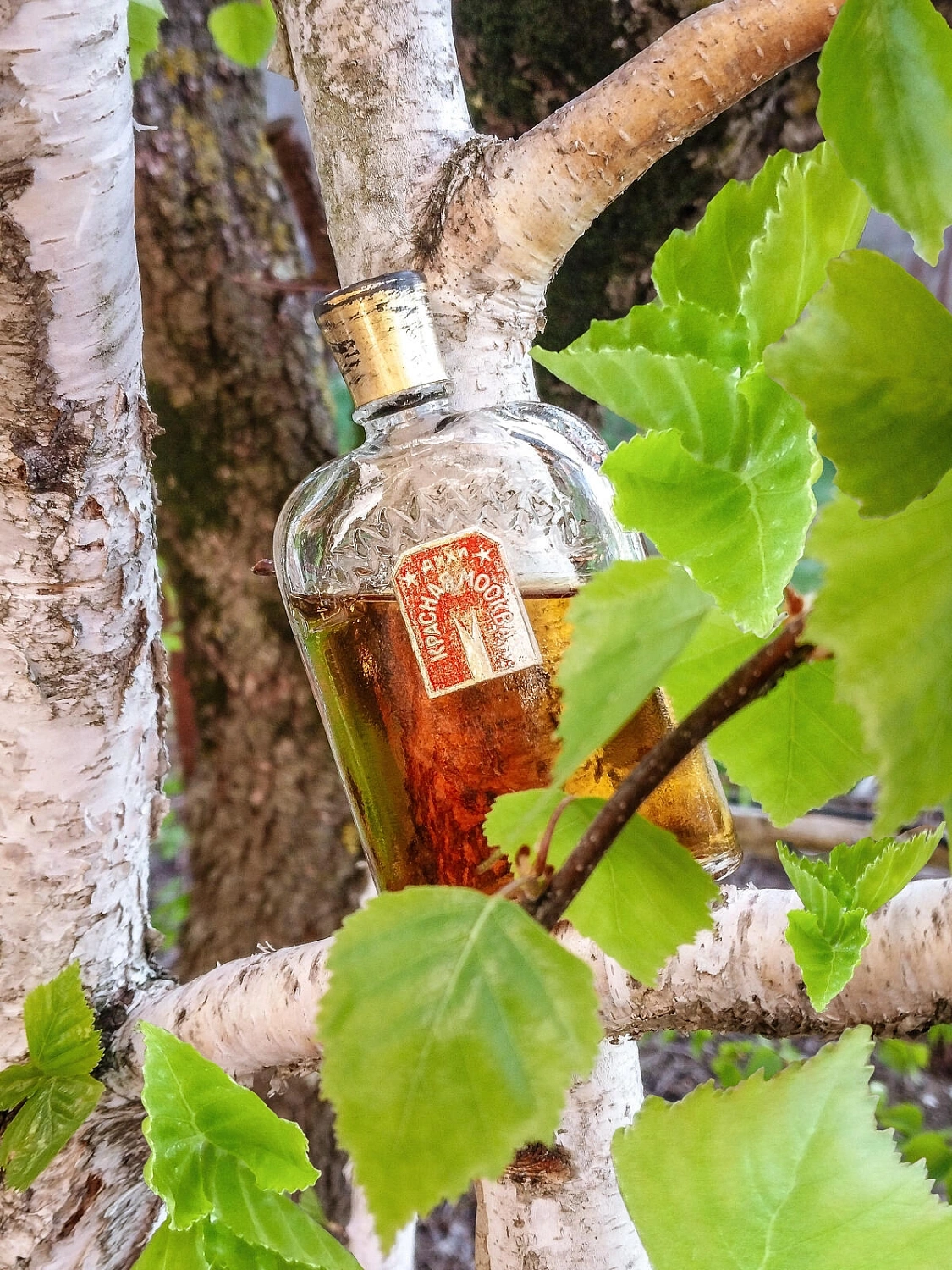 Novaya Zarya (Новая Заря) Красная Москва