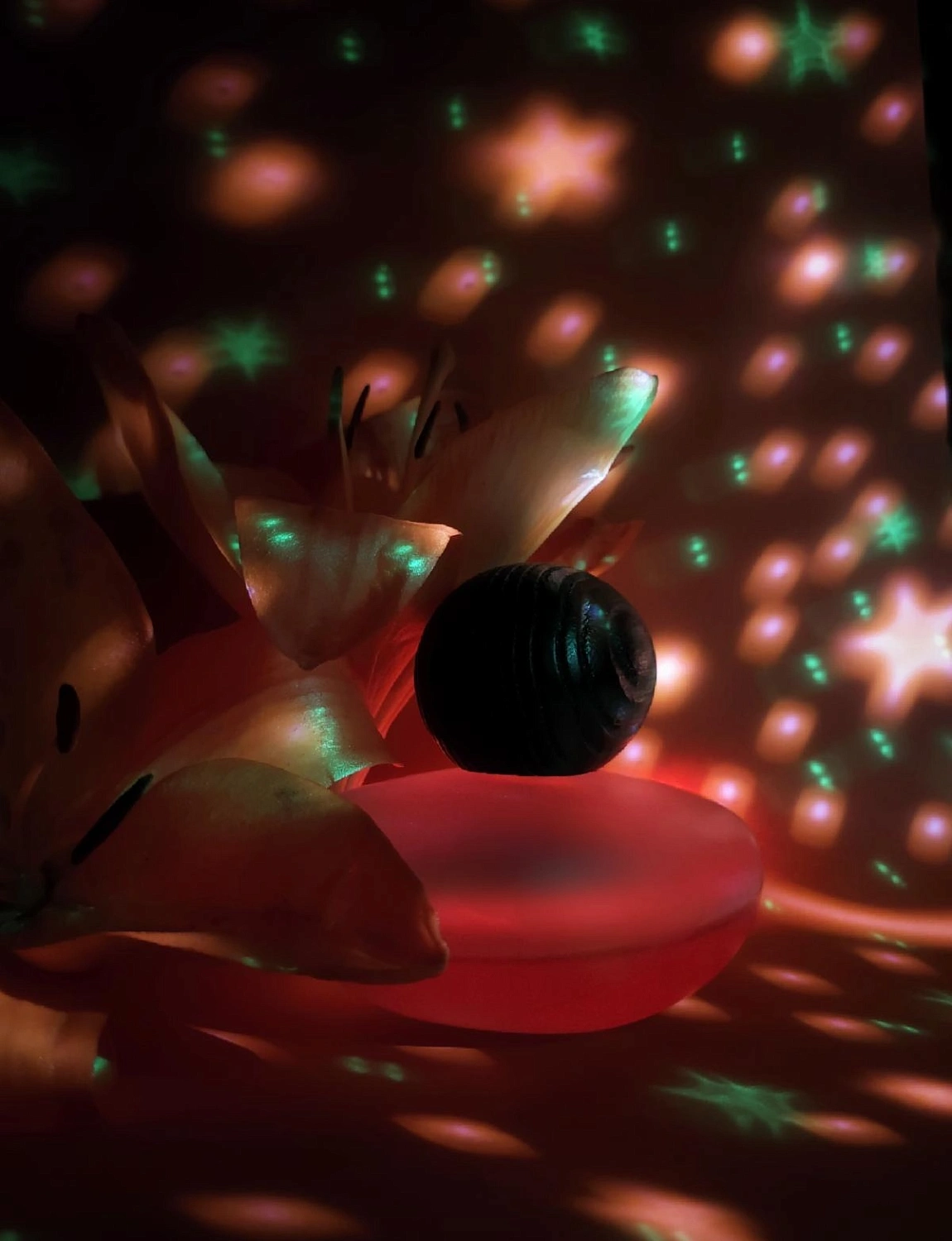 Majda Bekkali J’ai Fait Un Reve Clair