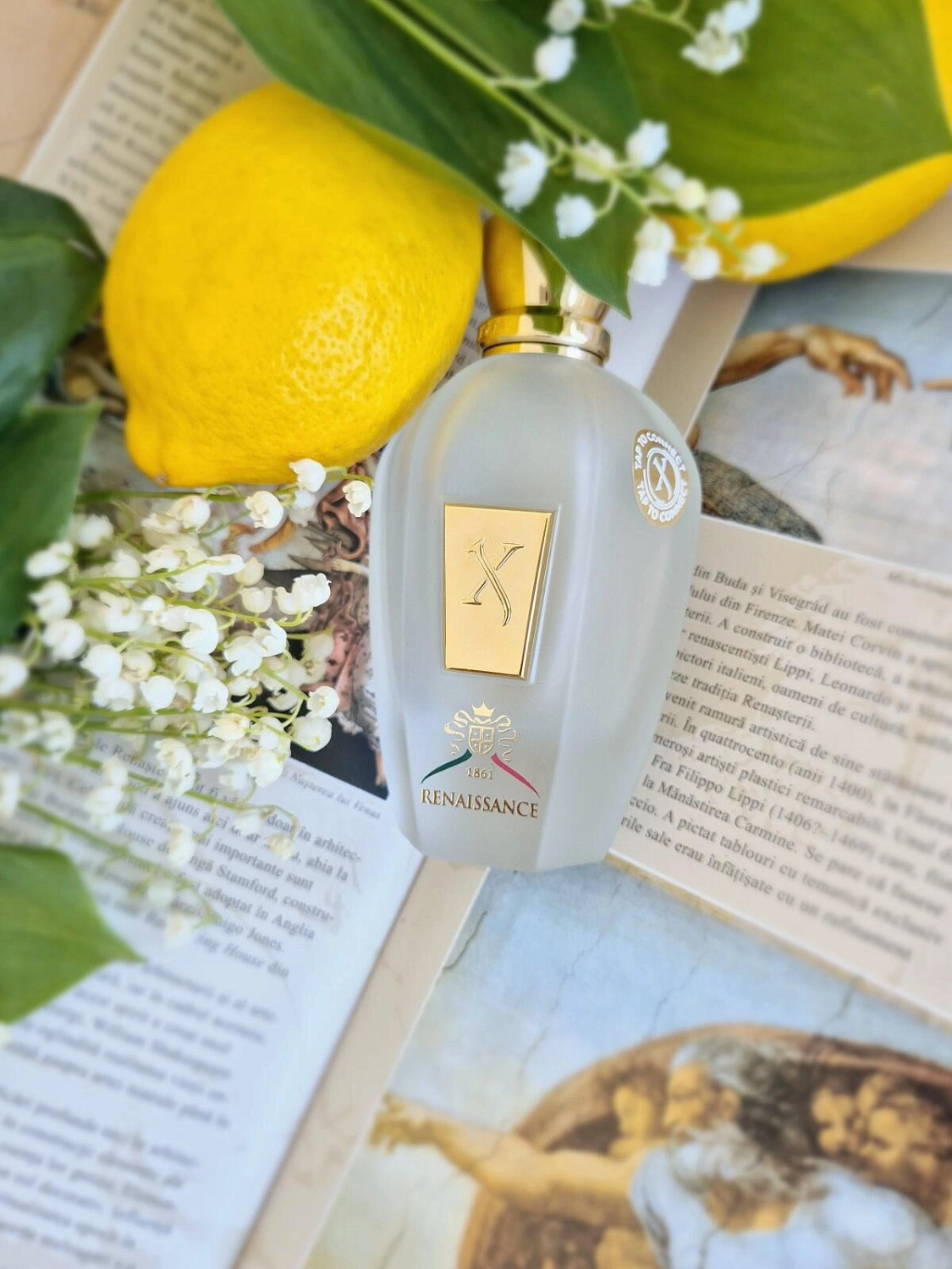 Xerjoff XJ 1861 Renaissance