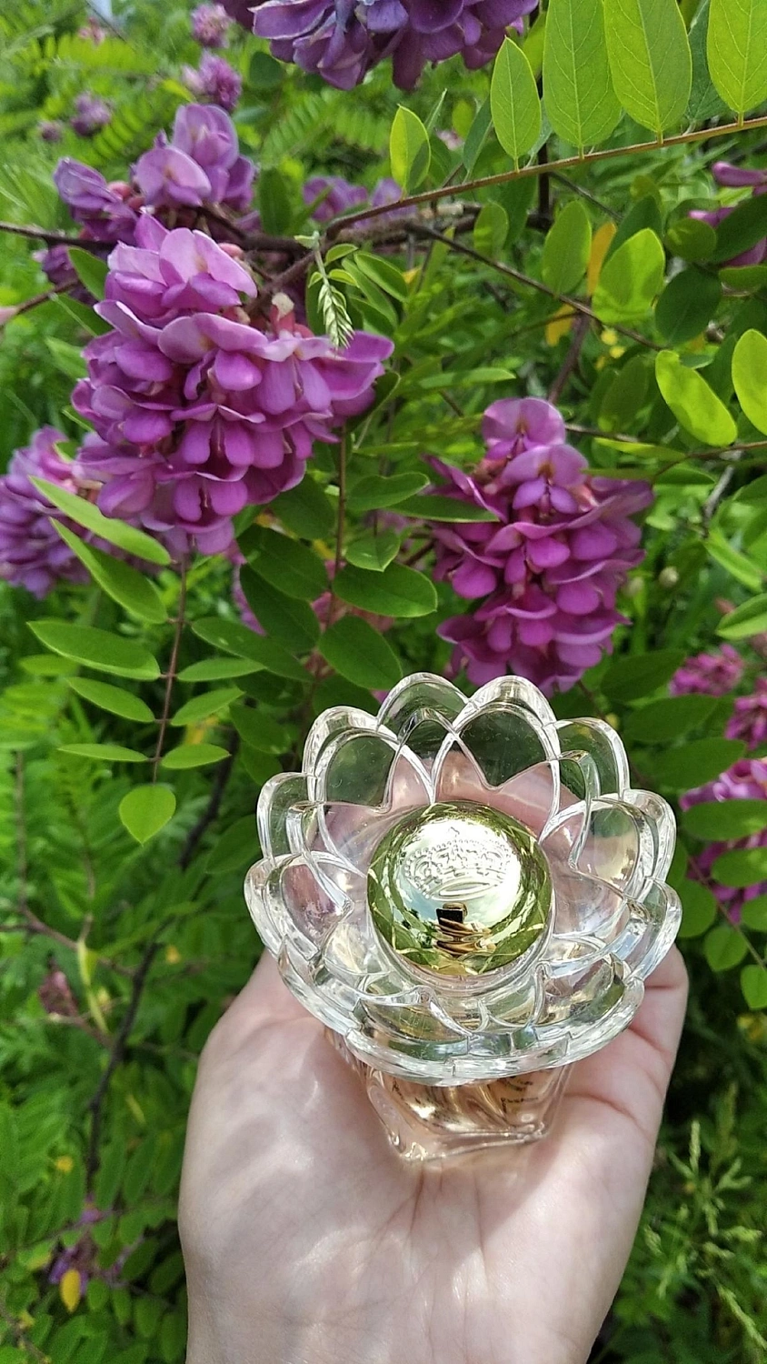 Marina de Bourbon Royal Style