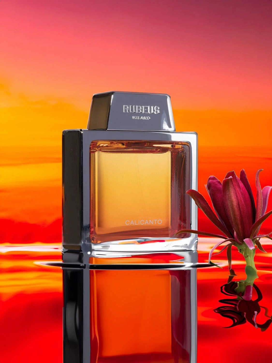 Rubeus Milano Calicanto