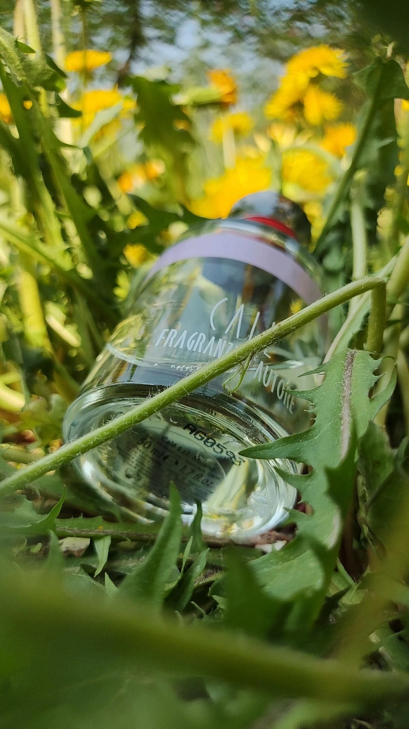 Cale Fragranze d’Autore Dolce Riso