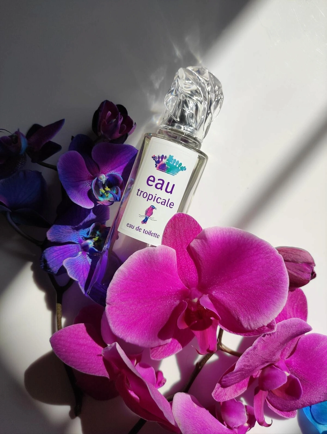 Sisley Eau Tropicale