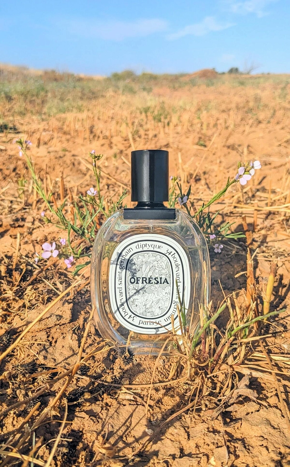 Diptyque Ofresia Diptyque Ofresia