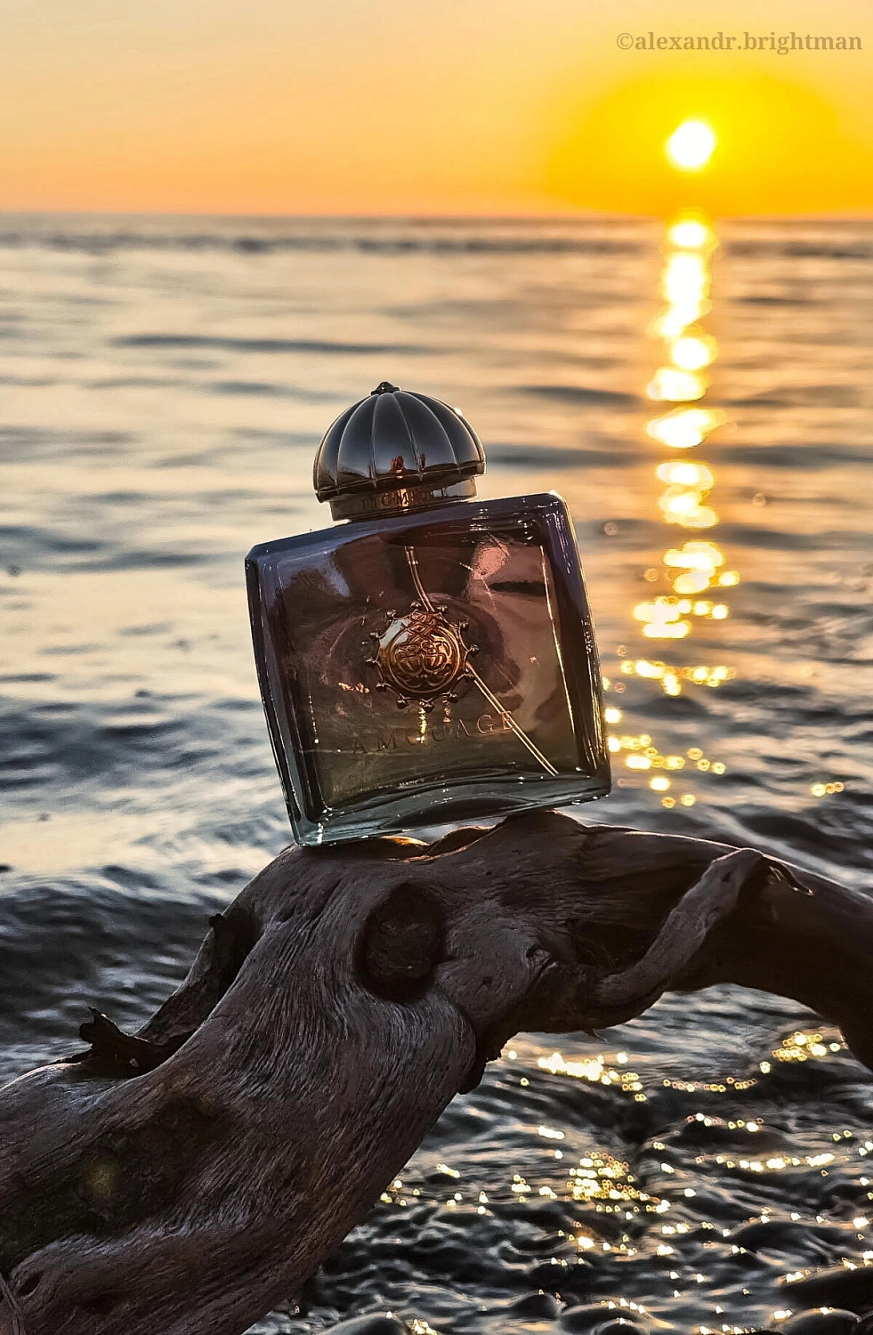 Amouage Figment Woman