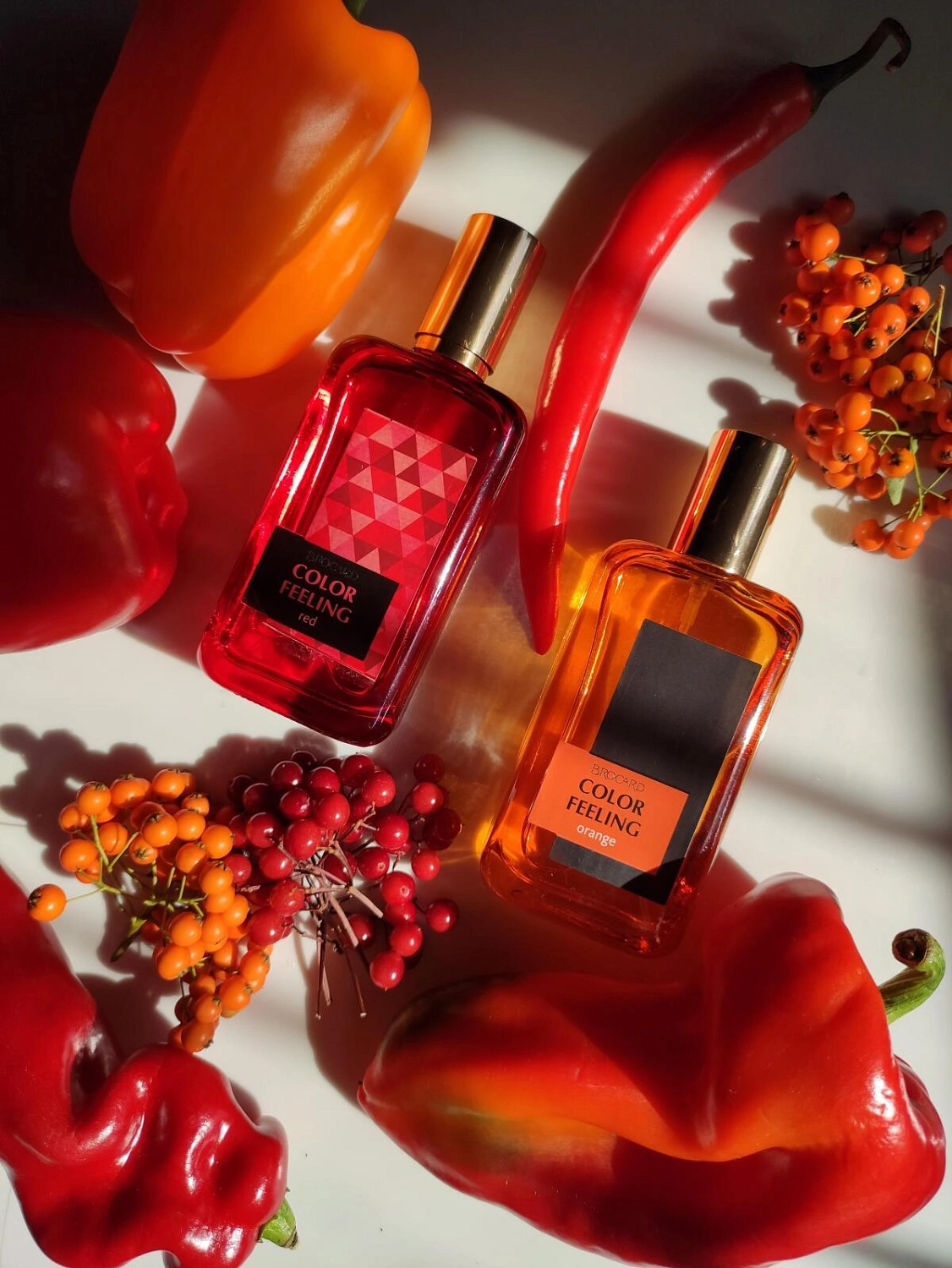 Brocard Color Feeling Orange