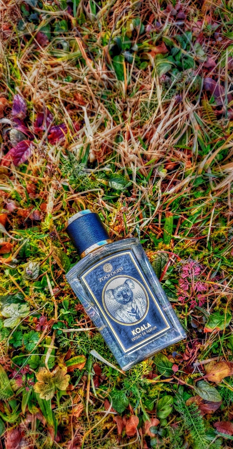 Zoologist Perfumes Koala