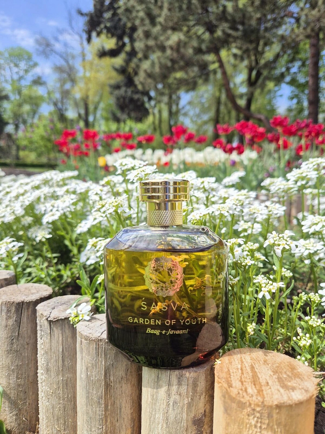 Sasva Garden Of Youth Baag-e-Javaani