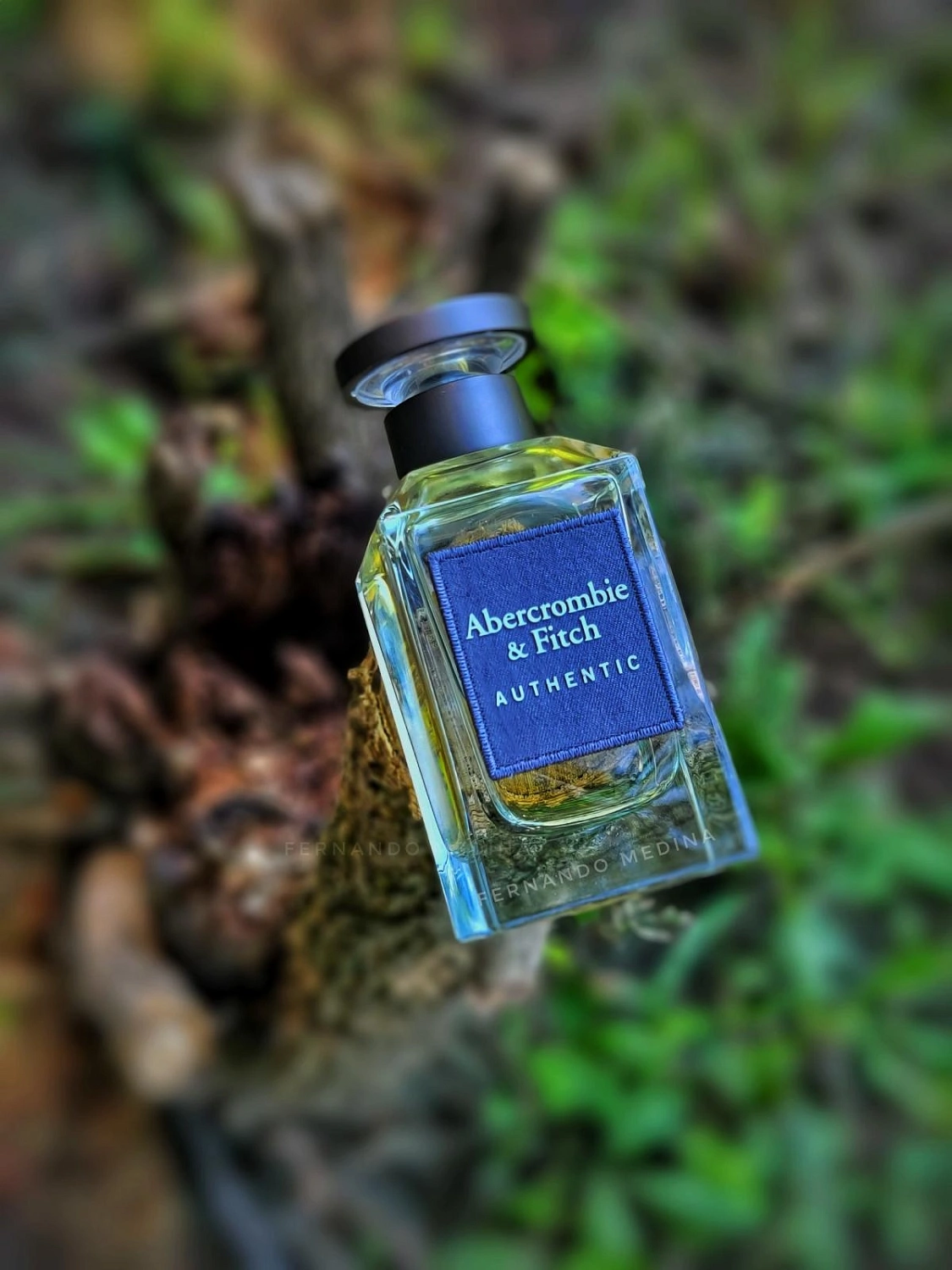 Abercrombie & Fitch Authentic Man