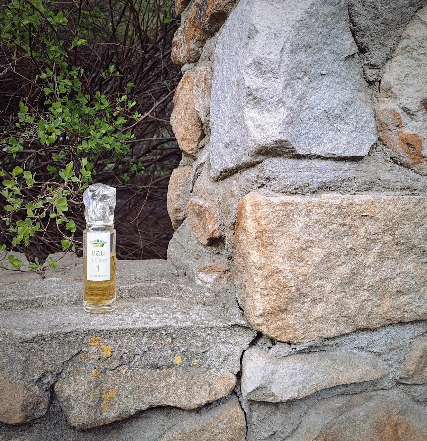 Eau de Sisley 1