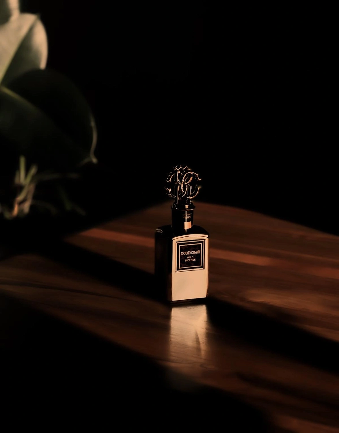 Roberto Cavalli Wild Incense