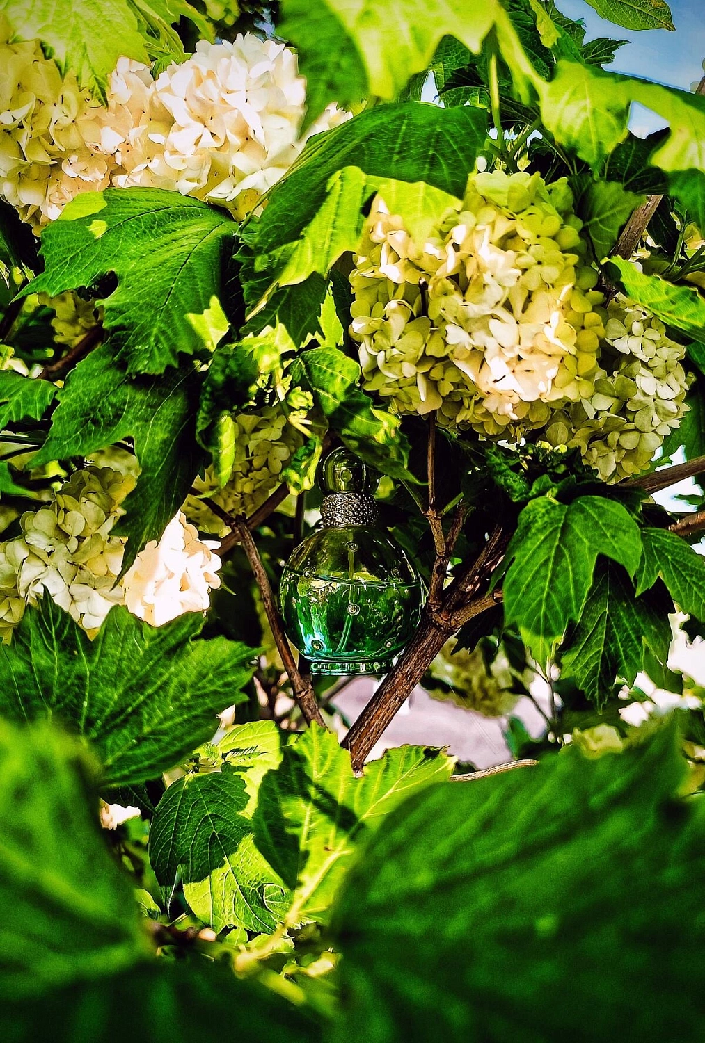 Britney Spears Island Fantasy