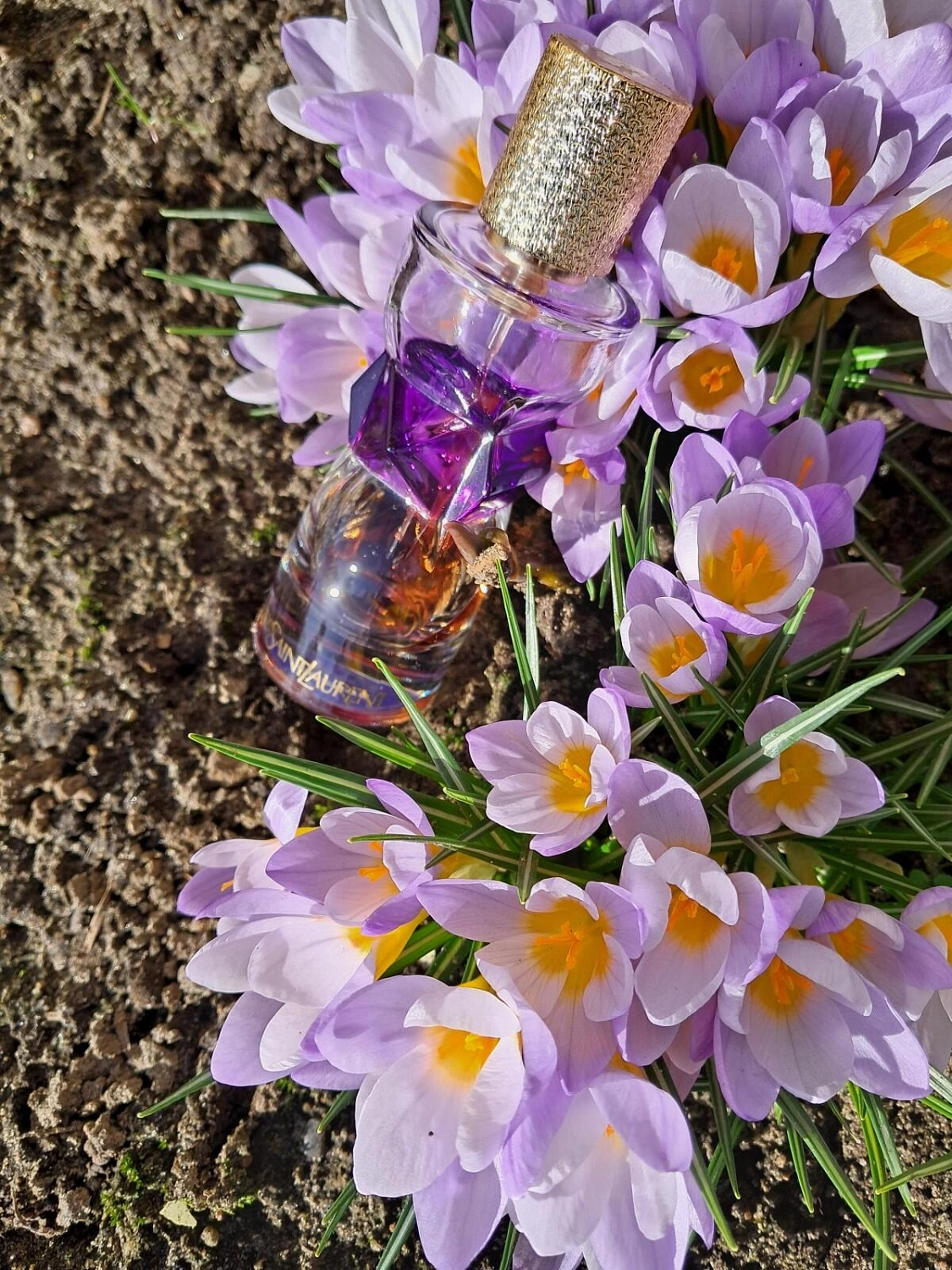 Yves Saint Laurent Manifesto