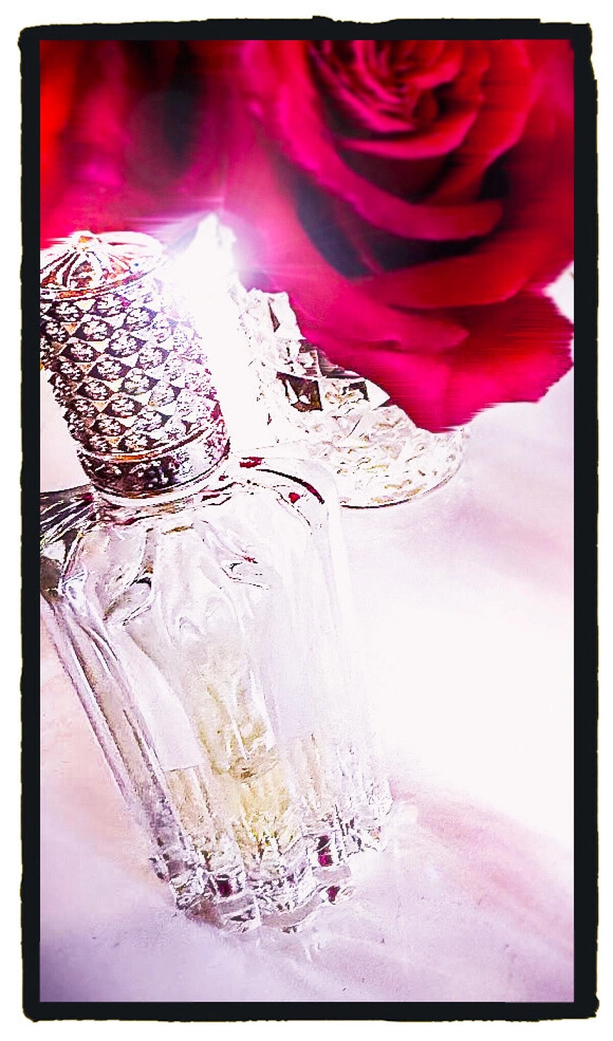 Prada Olfactories Miracle Of The Rose Prada Olfactories Miracle Of The Rose