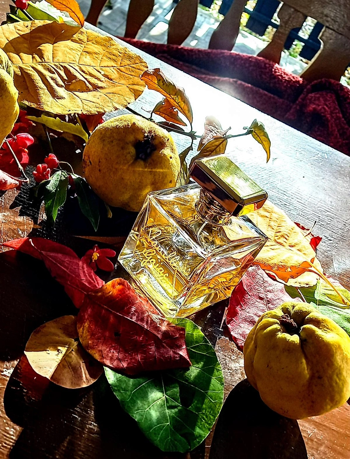 M. Micallef Vanille Gaiac M. Micallef Vanille Gaiac