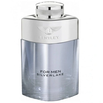 Bentley For Men Silverlake парфюмерная вода, 100 мл тестер Bentley For Men Silverlake парфюмерная вода, 100 мл тестер