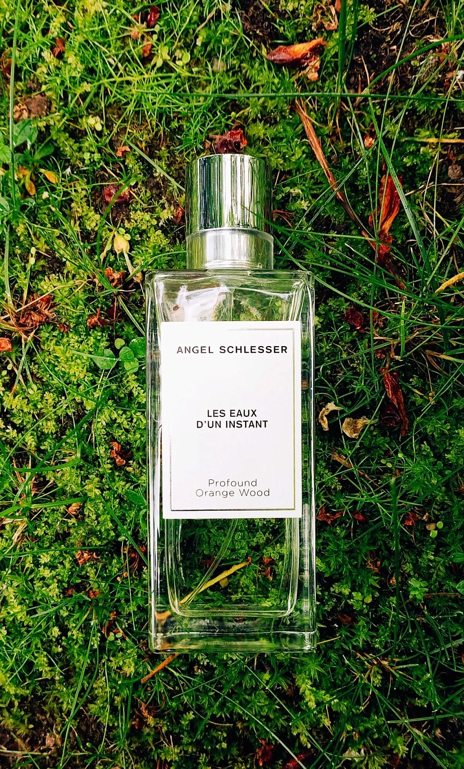 Angel Schlesser Profound Orange Wood