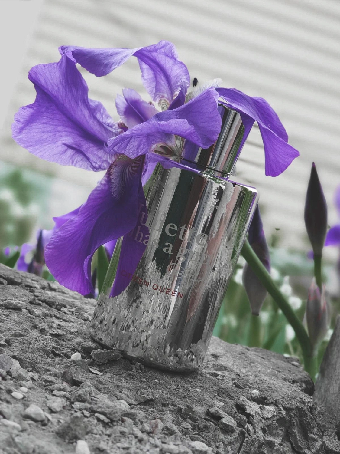 Juliette Has A Gun Citizen Queen