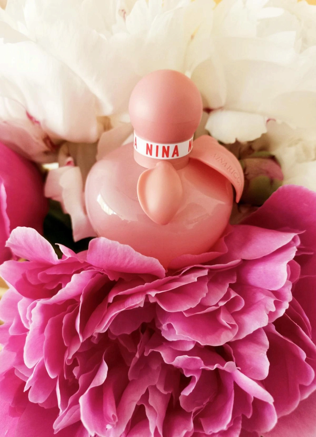 NINA RICCI Nina Rose NINA RICCI Nina Rose