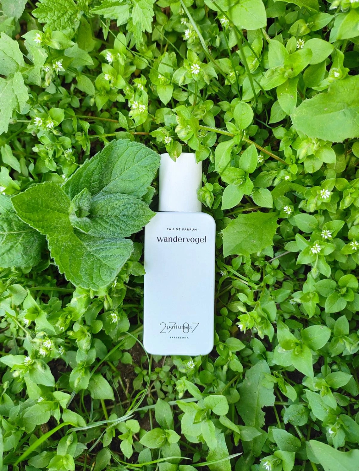 27 87 Perfumes Wandervogel 27 87 Perfumes Wandervogel