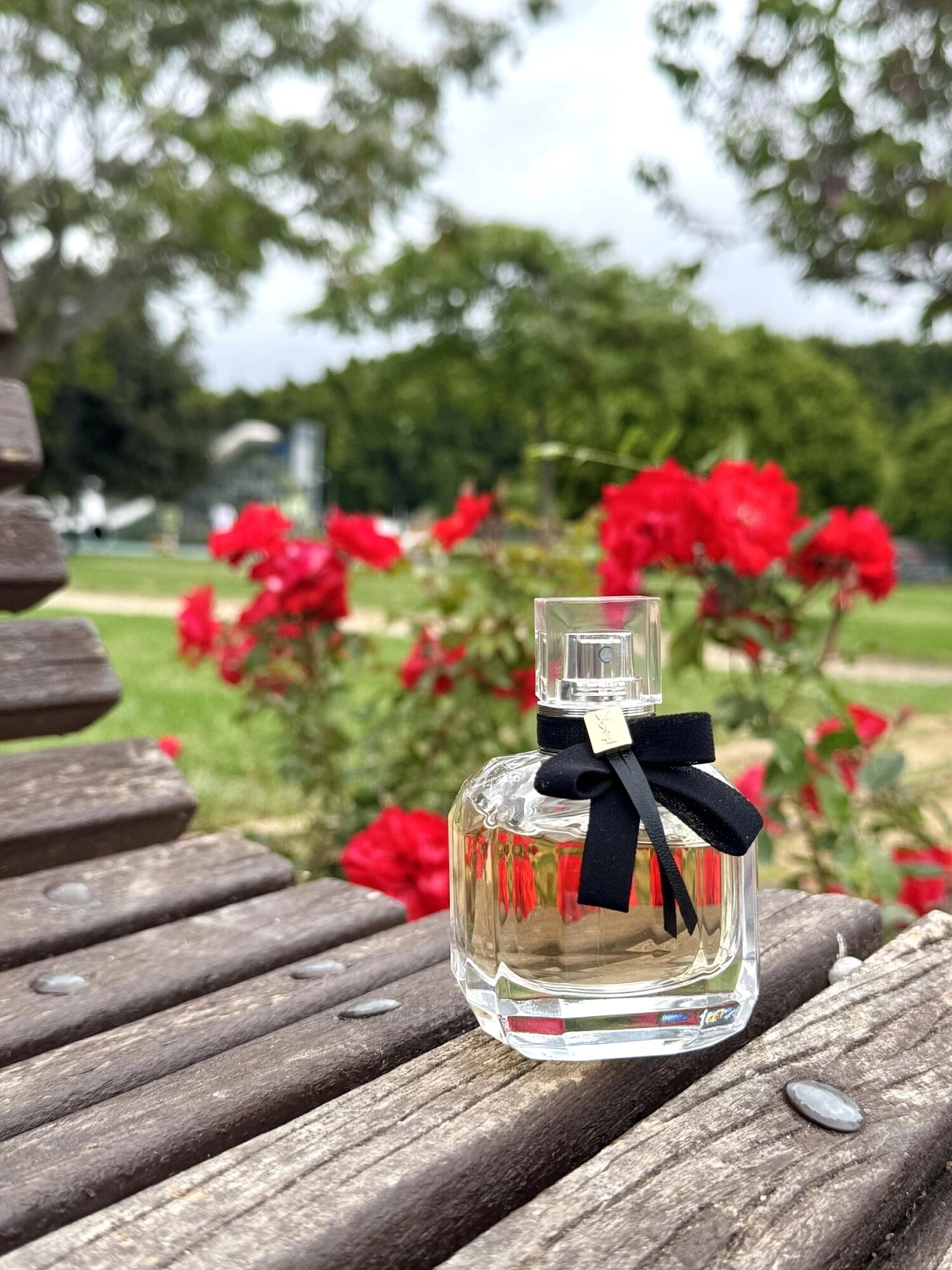 Yves Saint Laurent Mon Paris
