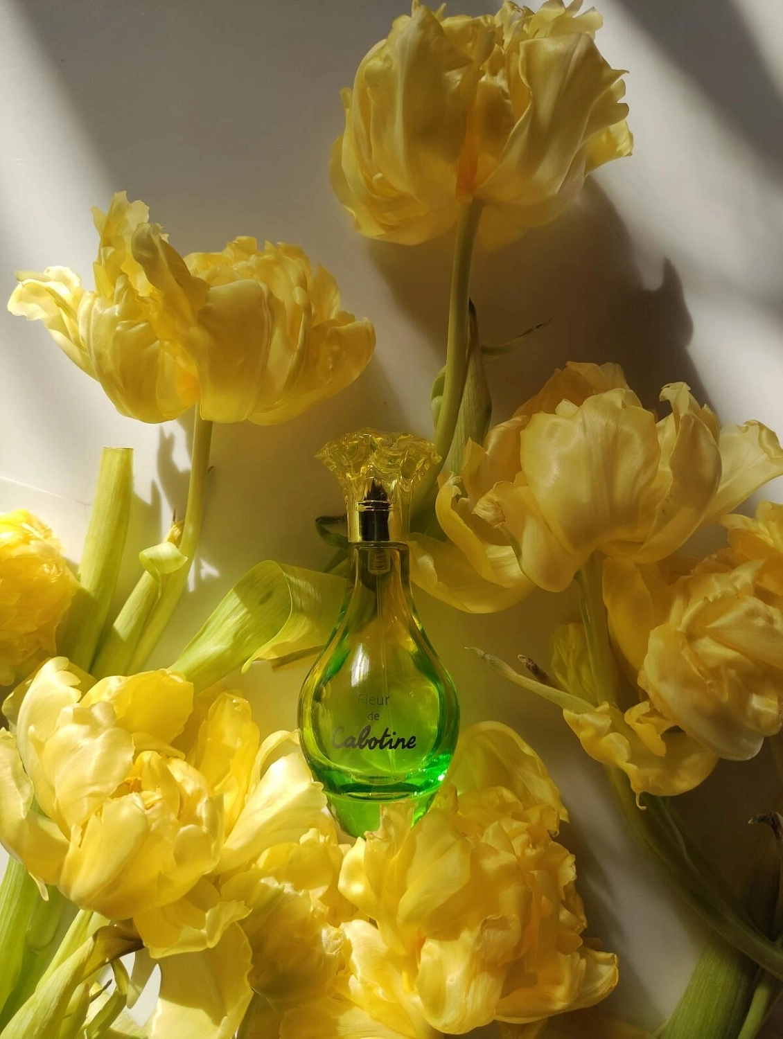 Gres Fleur De Cabotine