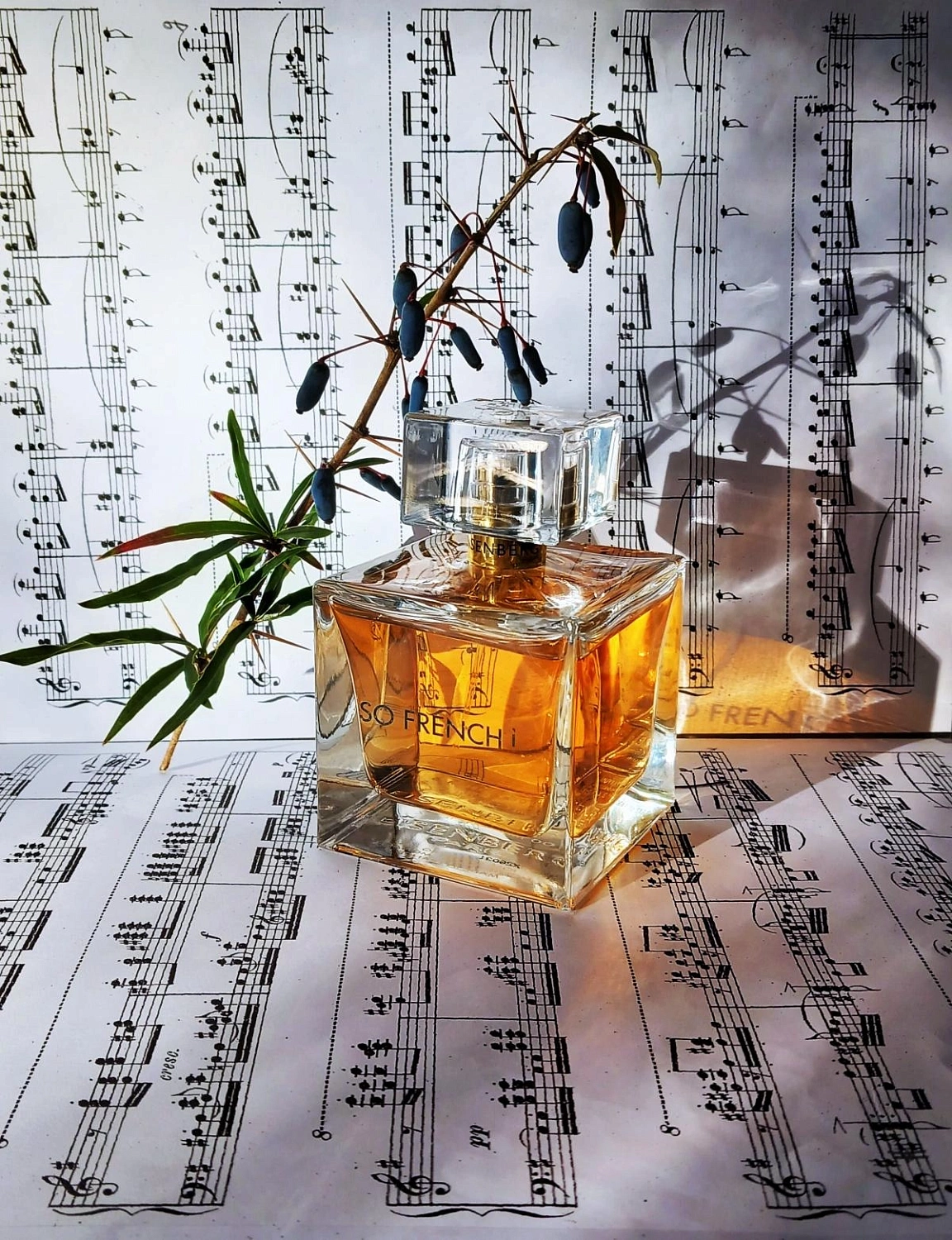 Eisenberg So French!