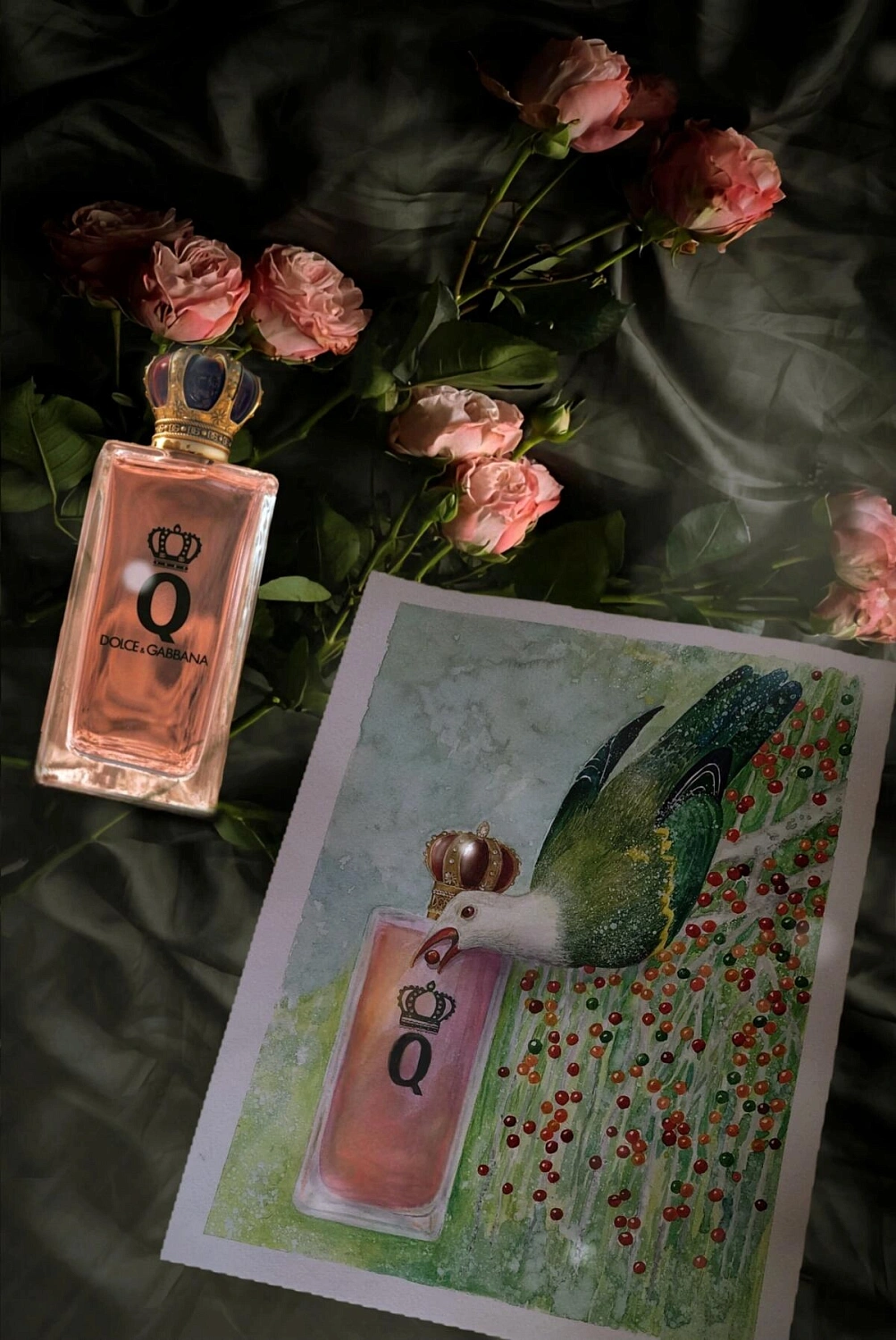 Q by Dolce & Gabbana