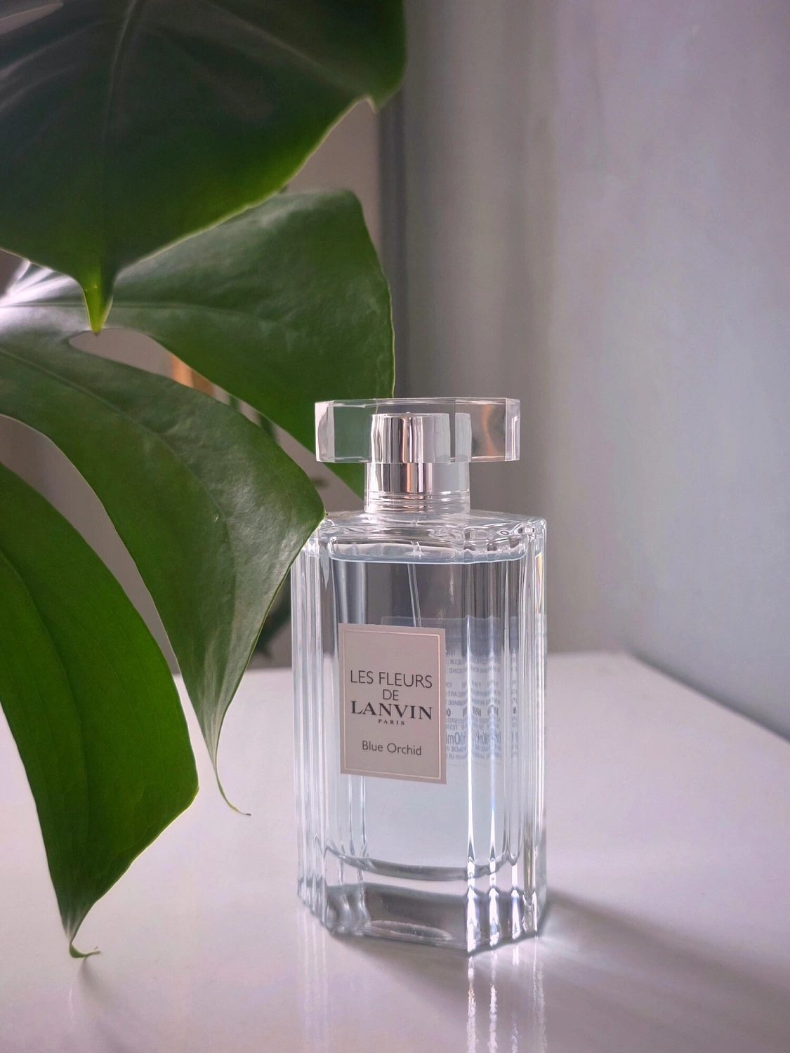 Lanvin Blue Orchid
