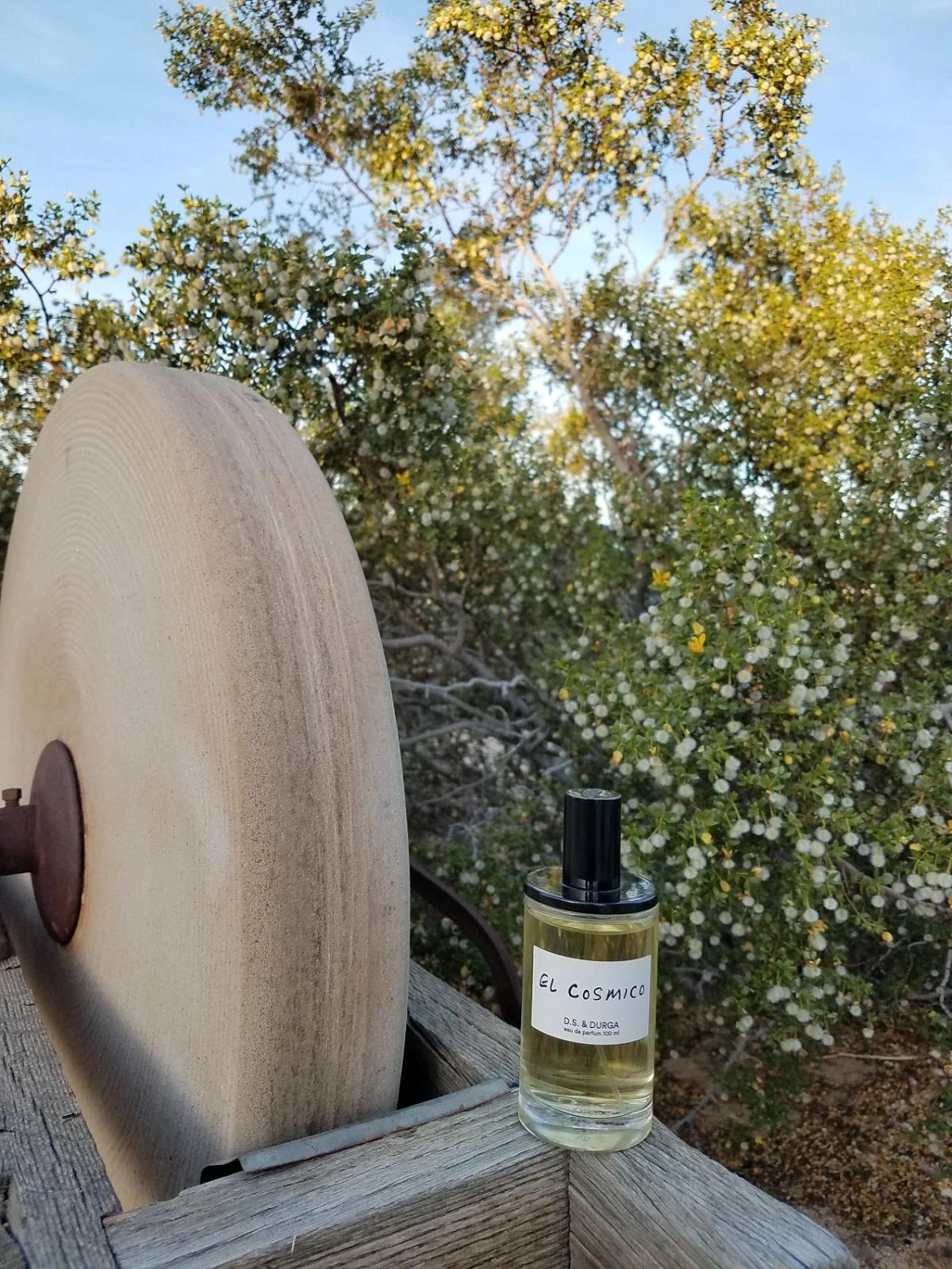 D.S. & Durga El Cosmico