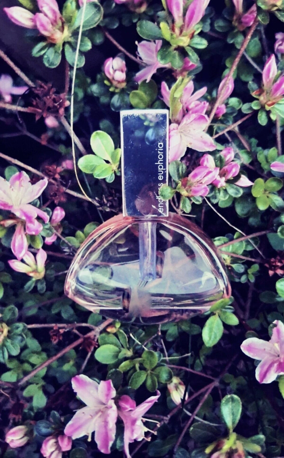 CALVIN KLEIN Endless Euphoria