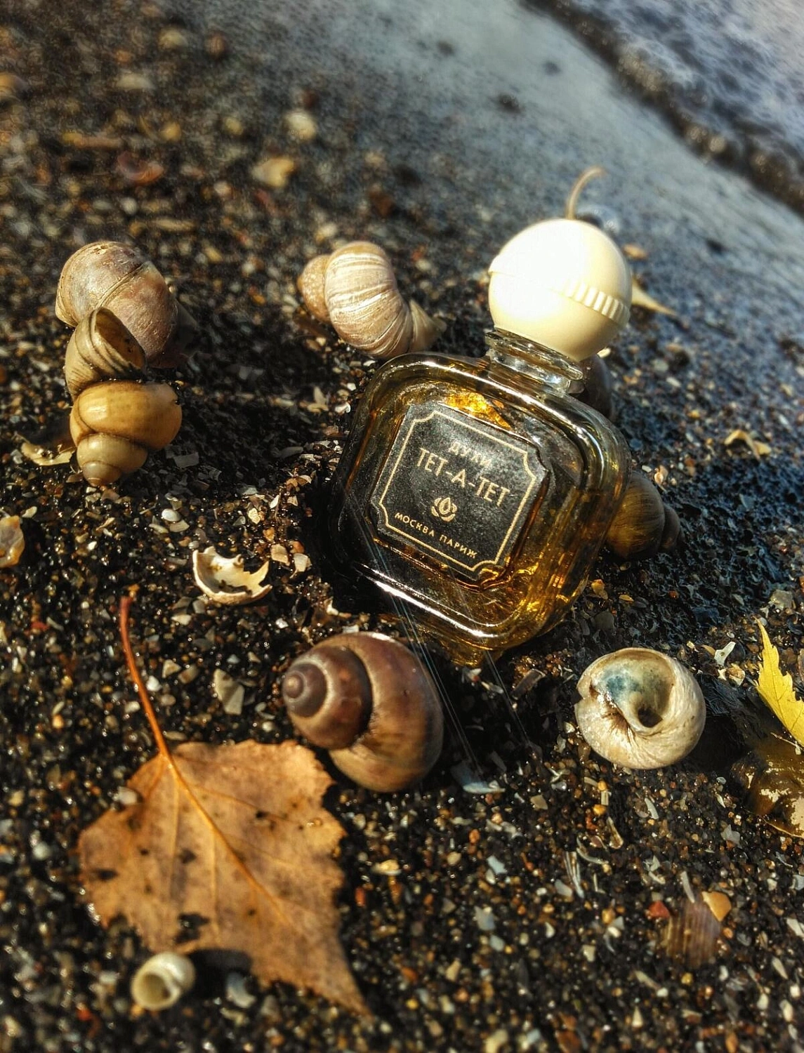 Novaya Zarya (Новая Заря) Tete-a-Tete Nouvelle Etoile