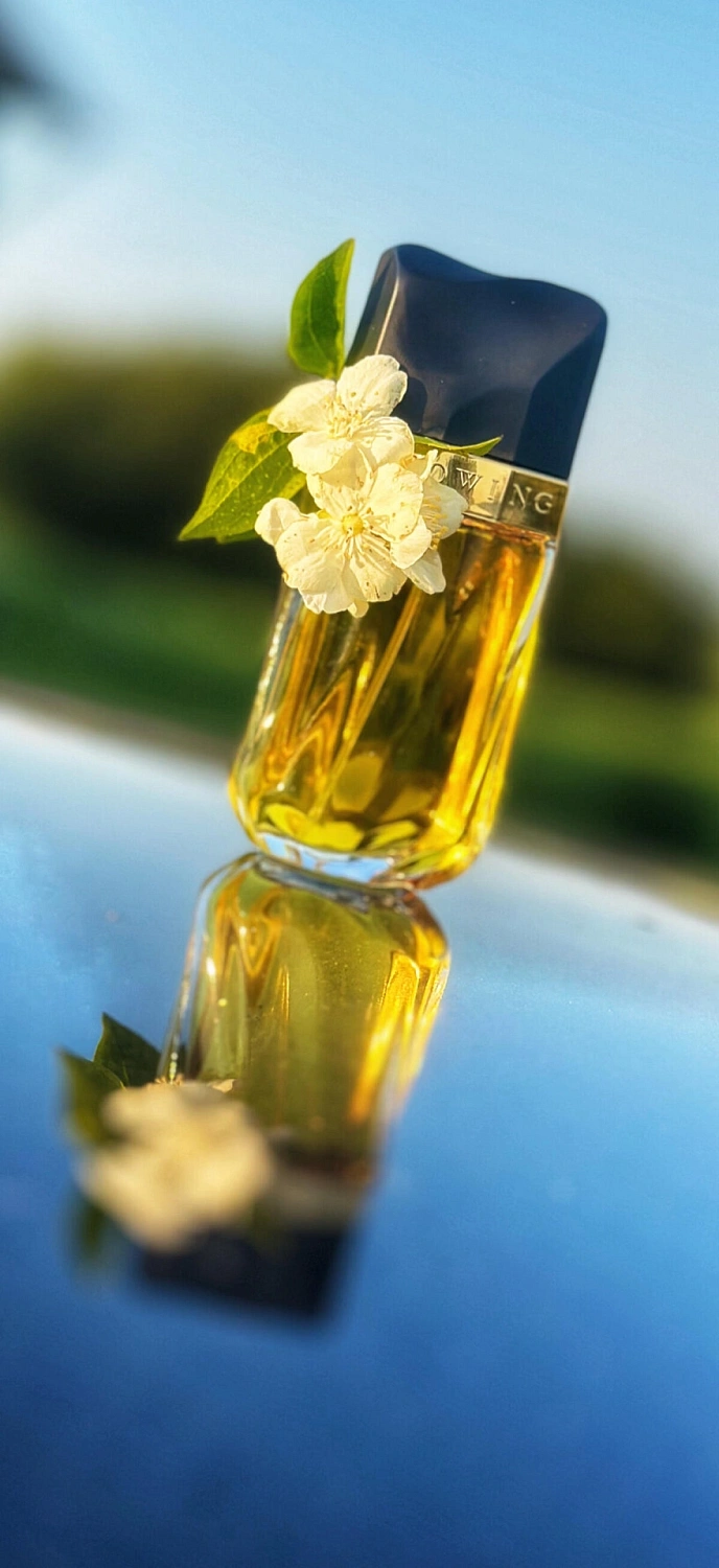 Estée Lauder Knowing