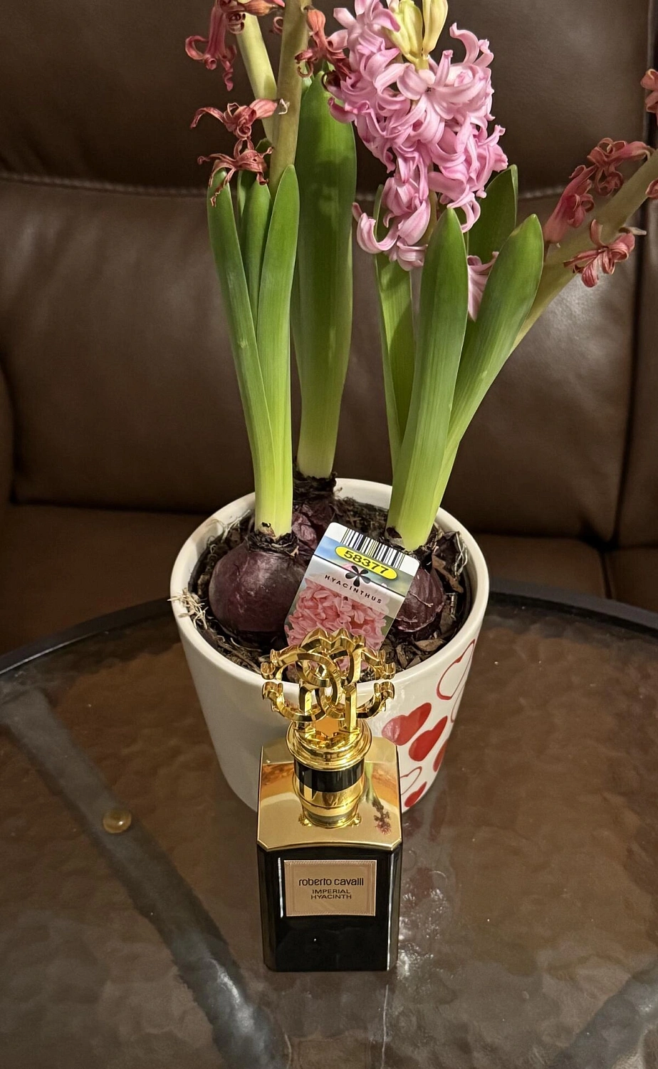 Roberto Cavalli Imperial Hyacinth