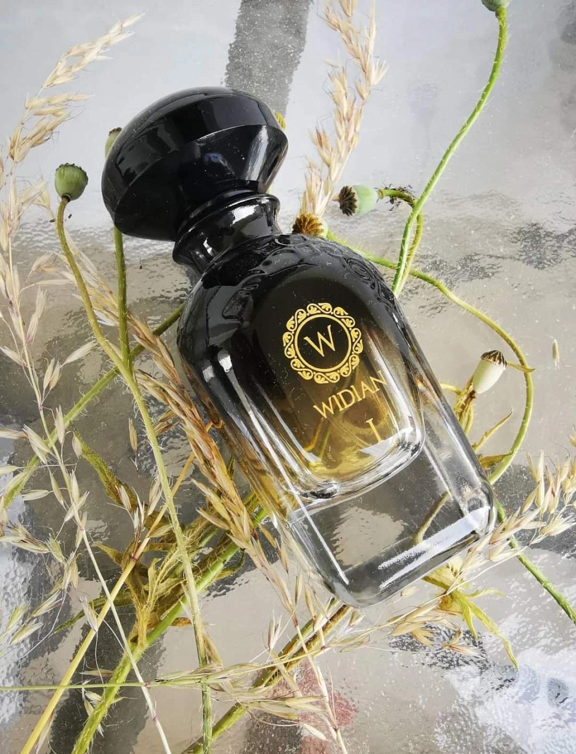 Aj Arabia Widian Black I Aj Arabia Widian Black I