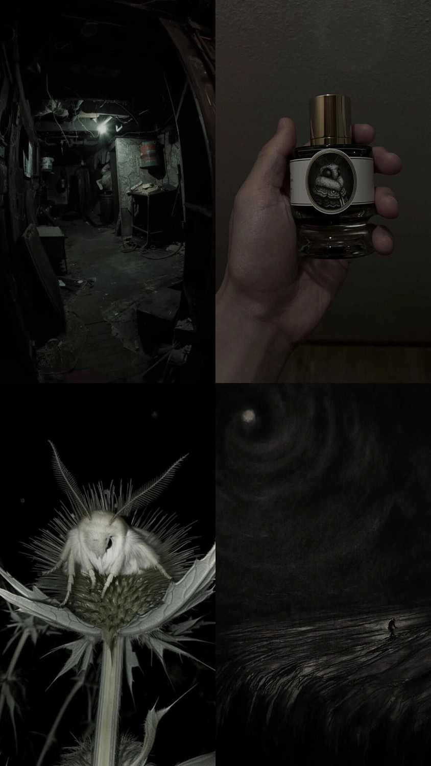 Zoologist Perfumes Moth