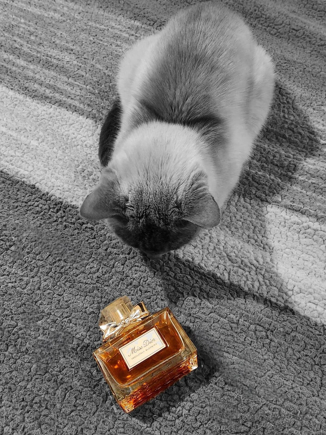 Christian Dior Miss Dior Absolutely Blooming