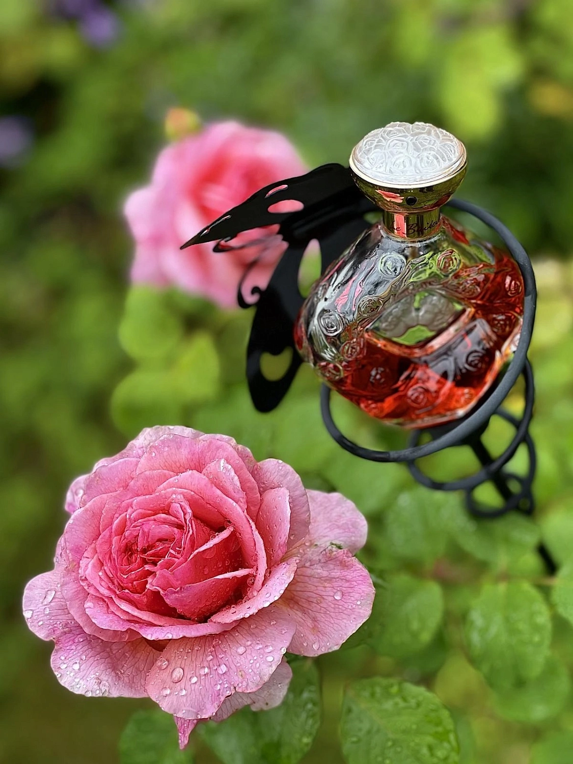 Lalique Le Baiser Lalique Le Baiser