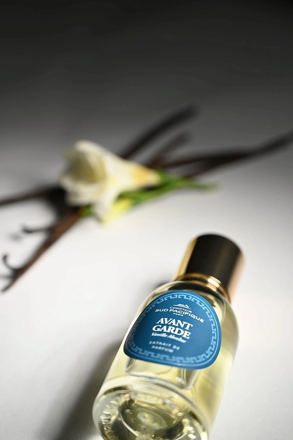 Comptoir Sud Pacifique Avant Garde