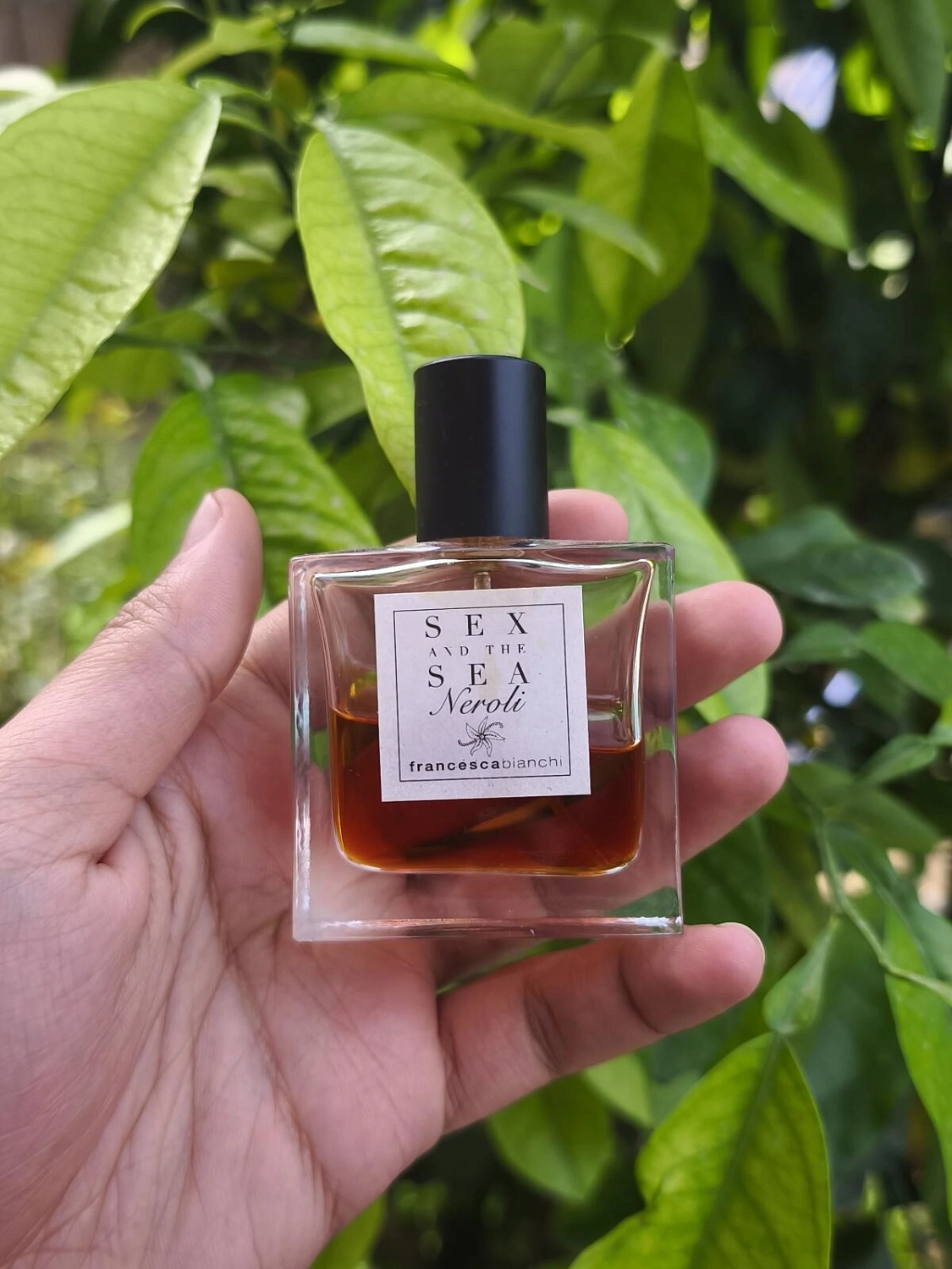 Francesca Bianchi Sex And The Sea Neroli