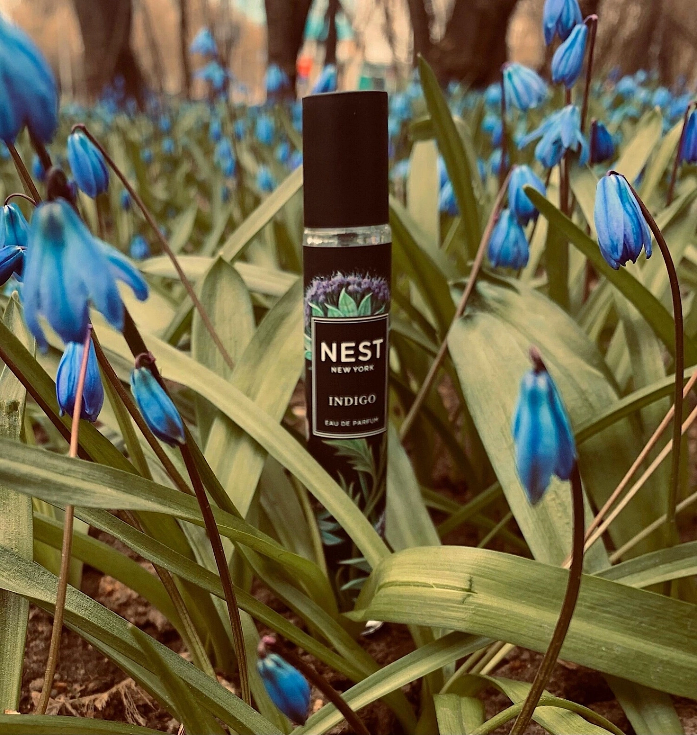 NEST Indigo