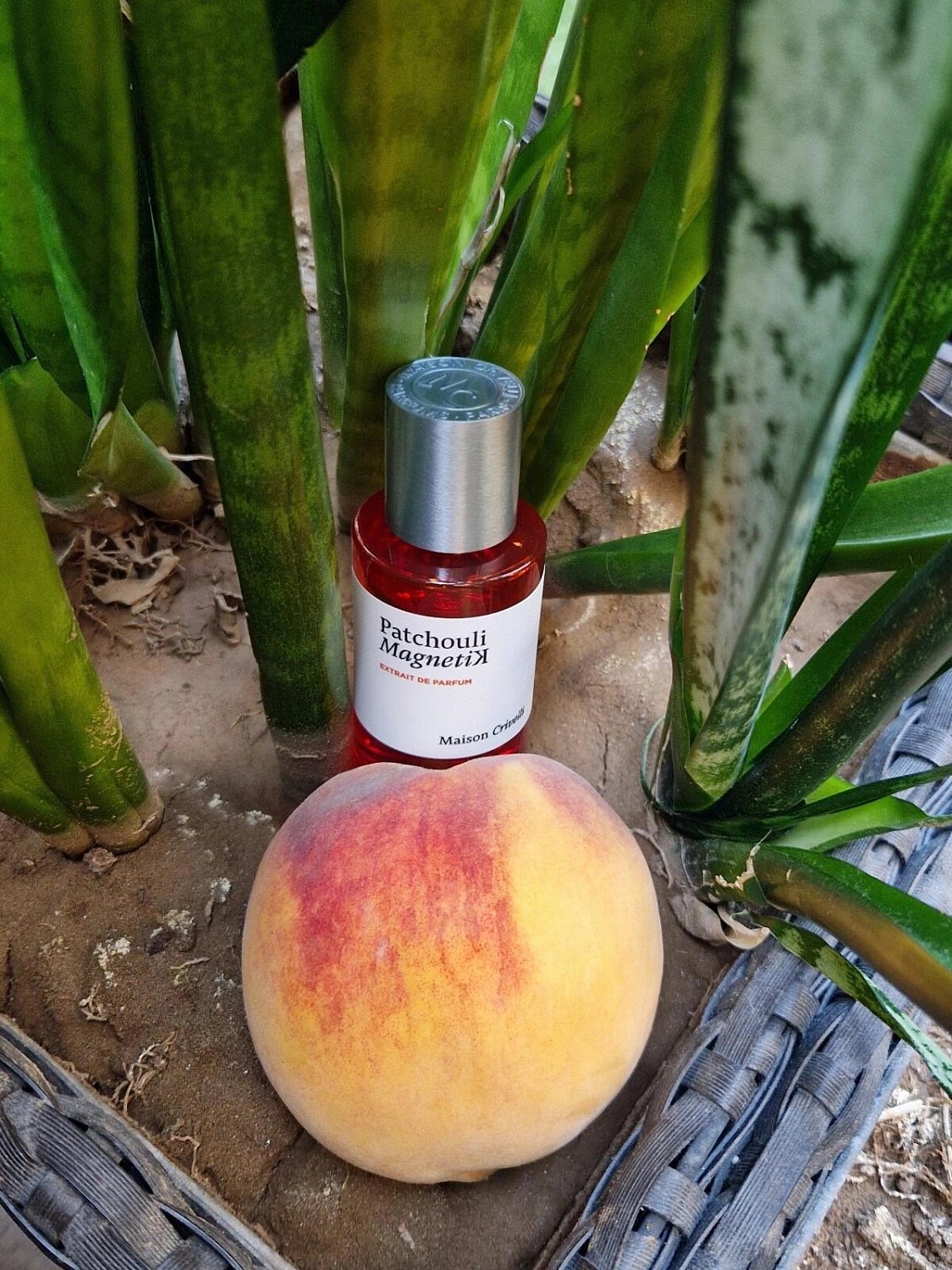 Maison Crivelli Patchouli Magnetik