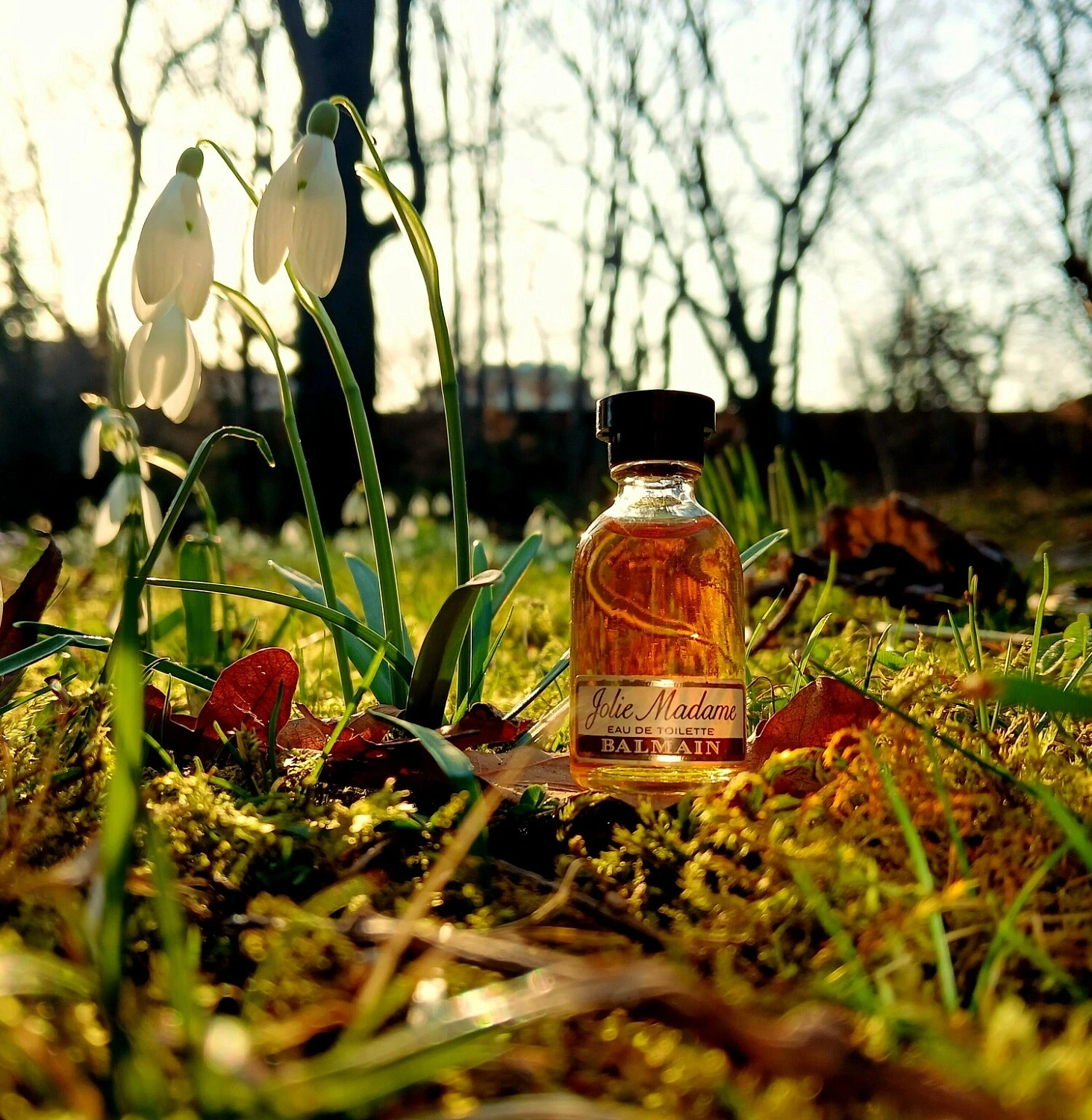 Balmain Jolie Madame